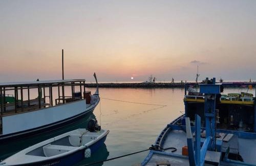 Thinadhoo Casa | Oyster Residence