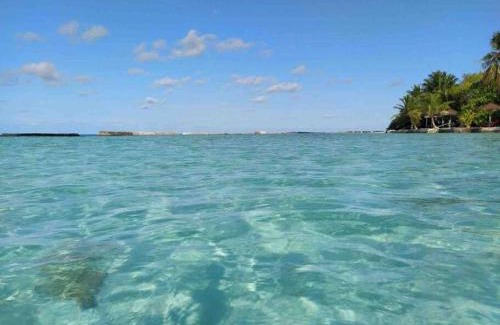 Thinadhoo Casa | Oyster Residence