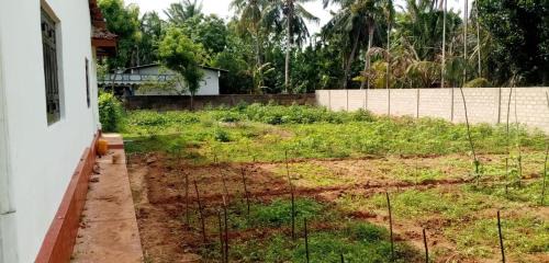 Valikamam South Villa | Shyla Villa