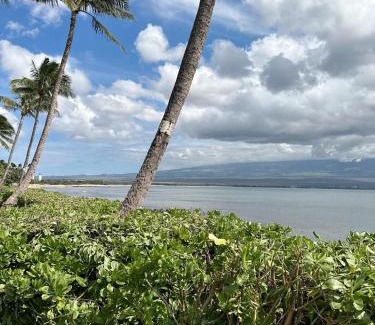 Maalaea Apartamento | Oceanfront Property Maui Hawaii at Island Sands