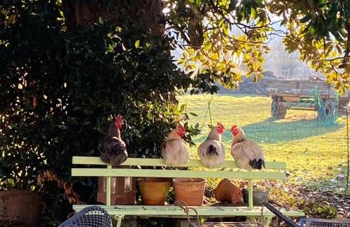 Bourg-sur-Gironde Cama Y Desayuno | Chambre d'hôte près Bordeaux