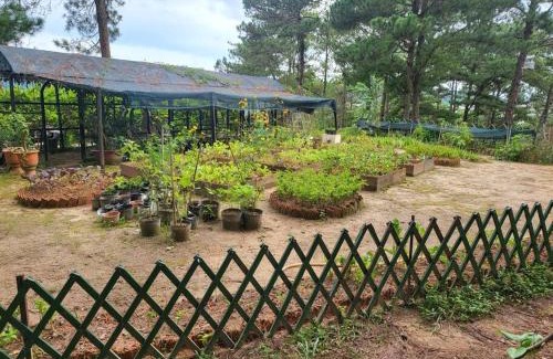 Da Lat Apartamento | FULL MOON FARMS DALAT
