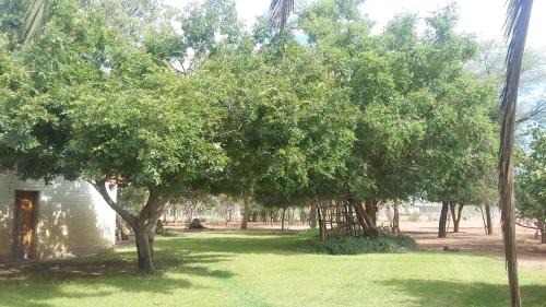 Mariental Casa | Koha Guesthouse