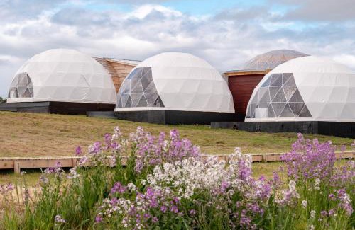 Puerto Natales Cabina | Garden Domes