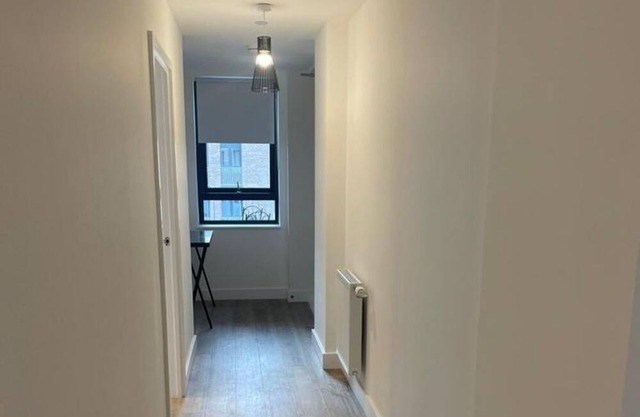 Bright 2 Bed 1 Bath in LONDON SK