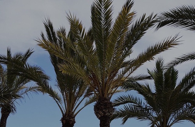 Hostal MARTIN VILLA GOLF Plaza Orihuela Costa Alicante. WIFI gratuito
