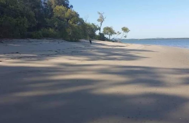 Se admiten mascotas en Peacefull Island W'front home, cangrejos, kayak, paseos en bicicleta