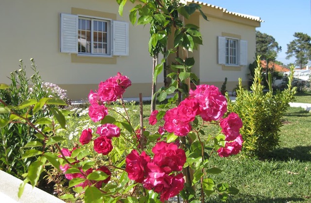 Pequeño Pinewood Villa Sesimbra