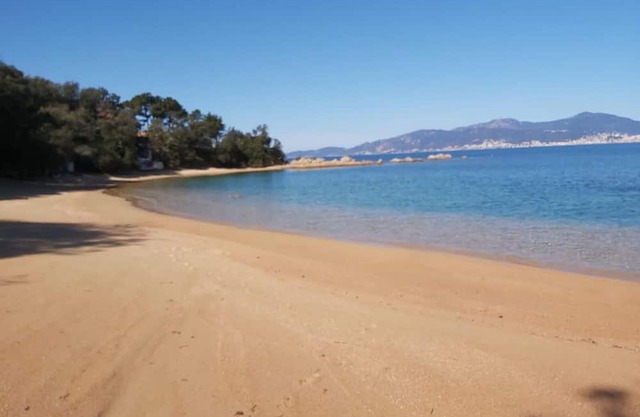 Feet in the water, head in the shade