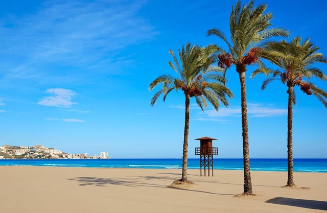 Apartment Conil de la Frontera, 1 bedroom, 3 persons