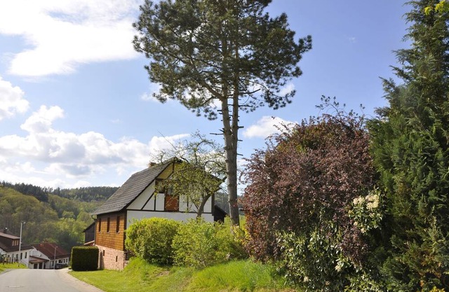 Ob-ferienhaus Waldblick - Ferienhaus Waldblick