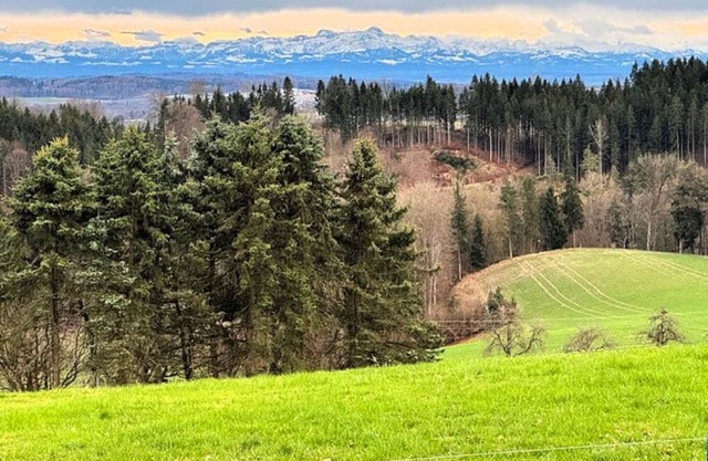 Apartment 'Panoramablick Taisersdorf' with Mountain View, Balcony and Wi-Fi
