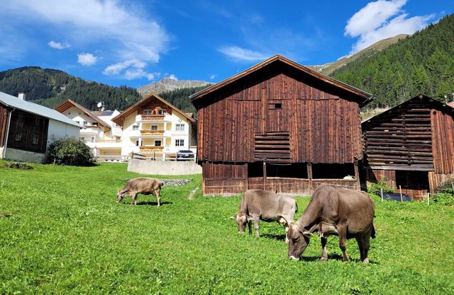 Nice apartment for 6 guests with WIFI, TV and parking