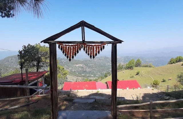 Secret Staycation Cottage