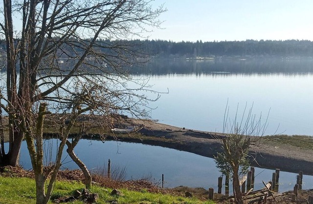 Charming Waterfront Apartment: Your Home Awaits