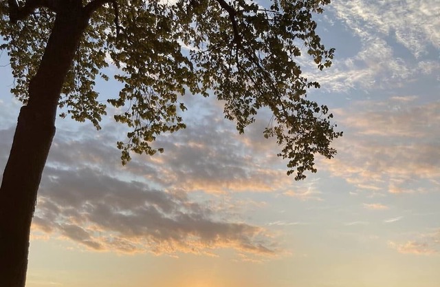 Fox River Retreat...Sunsets on Palisades