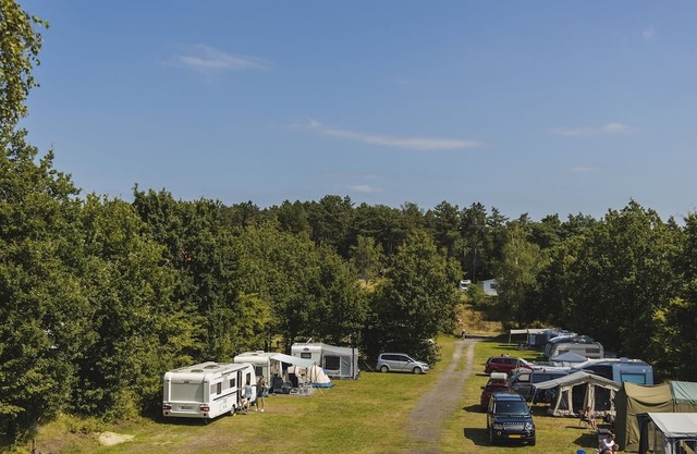 Stay on a pet-free camping spot in the Wilsumer Berge!