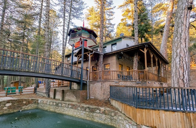 Bungalow in Nature Near Dipsiz Lake
