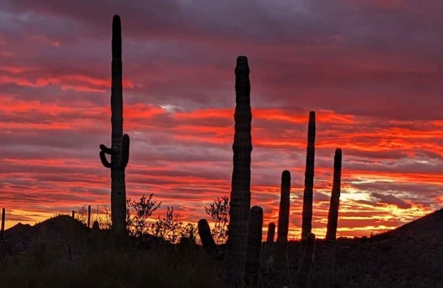 Quiet Desert Retreat in historic Cave Creek with golf, pool and desert hikes!