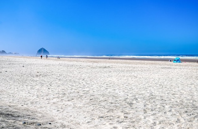 Cool, Compact Container Home is an Easy Walk to Beautiful Tierra del Mar Beach!