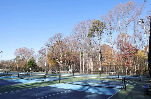 Ultimate pickleball excursion!