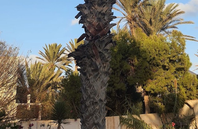 Dar El Bahr