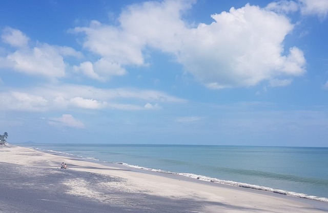 Beachfront Paradise! Apartment in Royal Palm with Ocean Views
