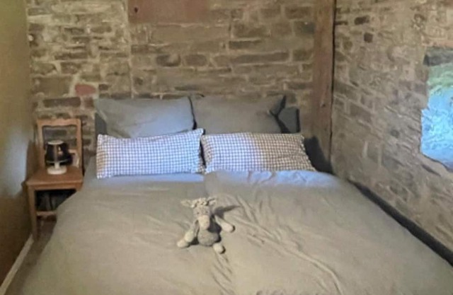 2-bed vacation apartment shower/WC, incl. donkey hike - Donkey hike Eifel,