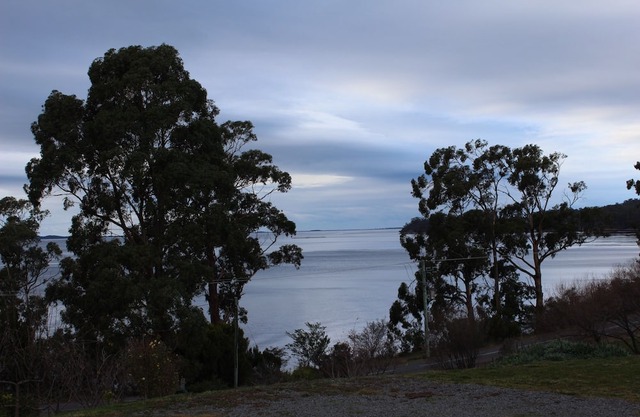 Spot The Sea Eagle