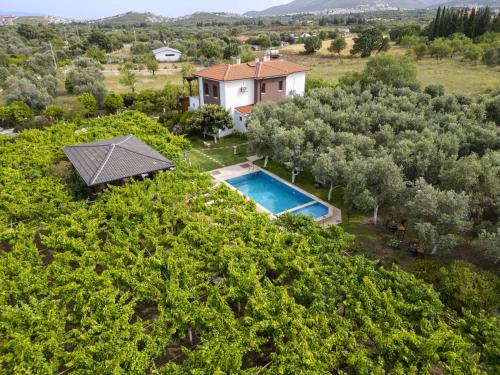 GRAPE DATÇA