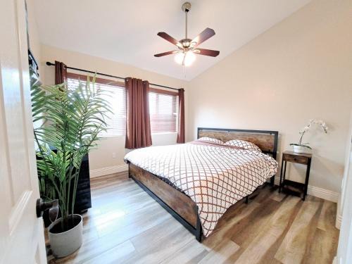NEW King Bed Venetian Vacation - La Jolla 2 bedroom condos luxury furnished near beach and UTC mall