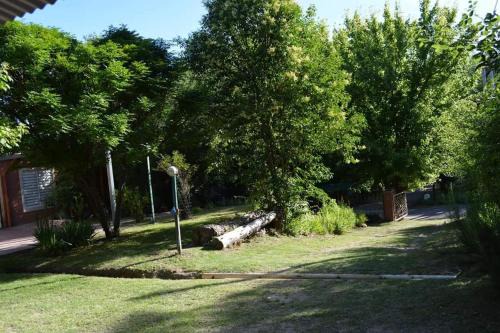 Pinos del puente
