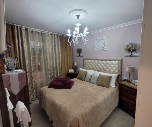 Shared accommodation a room with a view of the garden