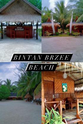 Bintan Brzee Beach in Bintan Island - Bungalow 4