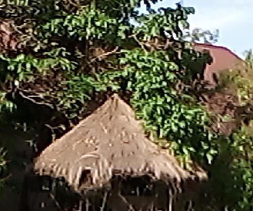 Home Stay accommodation and food . our house with 8 bedrooms. 5are self contained, kitchen, Dinning room,and a sitting room.1 office, we have a beautiful garden with the camp fire and enough area for people to enjoy traditional dance .welcome.