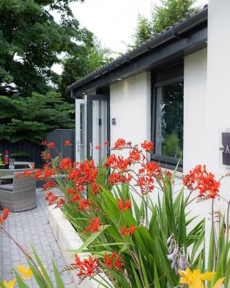 Aurora suite B&B