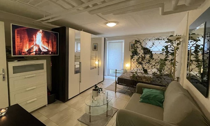 Basel City Centre Condominio | Cozy Place Whit Fast Wifi 3 min From Rhine