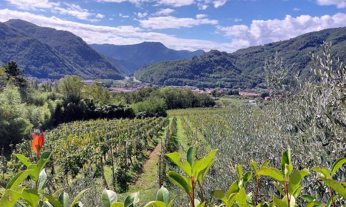 Bagni di Lucca Otro | Farm Tenuta la Fratta