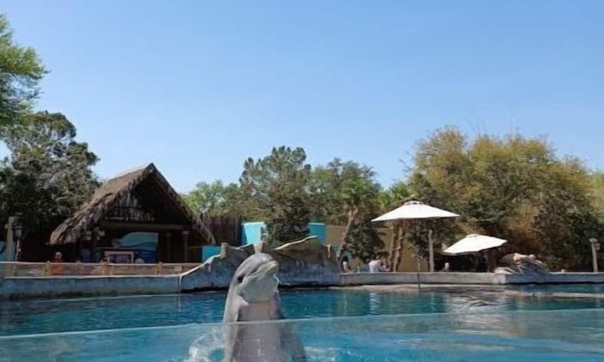 North San Antonio - SAT Casa | Uptown Alamo City Retreat-Near Airport & Downtown!