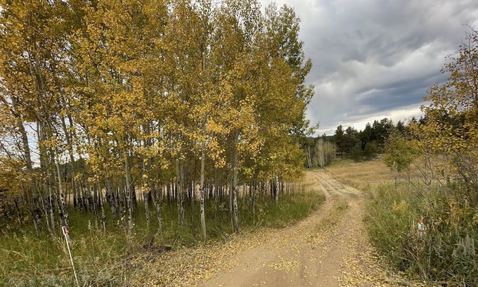 Nederland Cabina | Slice of Wild Heaven: Magical, Cozy, Forest Cabin @ the Top of the World. Views