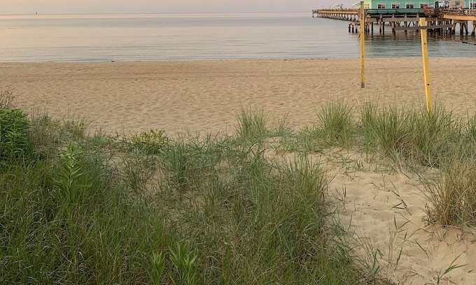 Norfolk Casa | Rustic Ocean View Beach House - BEST Location in Ocean View! 2 bed/1 bath House