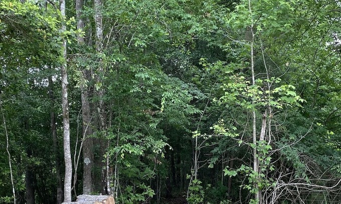 Jasper Cabina | Cozy cabin located on the Angelina River and minutes away from lake Sam Rayburn.