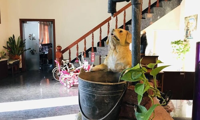 Jiji Casa | Chong Er Ya She Homestay