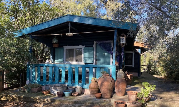 Castiglione della Pescaia Casa | Relax in the silence of the green, a few steps from the sea.
