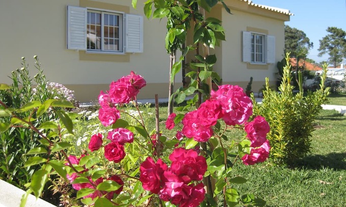 Quinta Do Conde Casa | Small pine forest Villa Sesimbra
