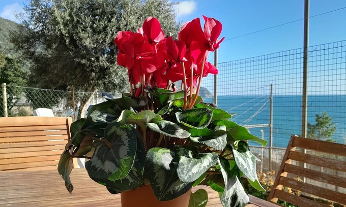 Corniglia Apartamento | ARIANNA'S HOUSE ( citra code: 011030-LT-0156
