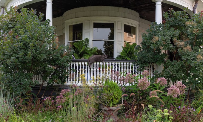 Kingston Cama Y Desayuno | Heddwyn House
