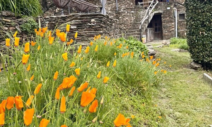 Ventalon-en-Cevennes Casa | Les Hôtes du Châtaignier