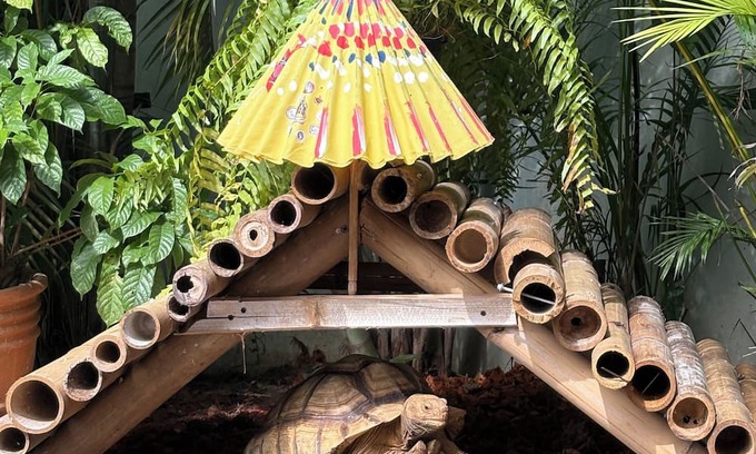 Mae Pong Complejo | Capybara Zen Resort And Spa