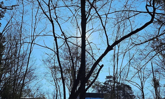 Roanoke Cabina | Charming 2-bedroom cabin only a few minutes from downtown Roanoke attractions.
